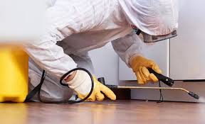 Professional Pest control in Valley Green, PA